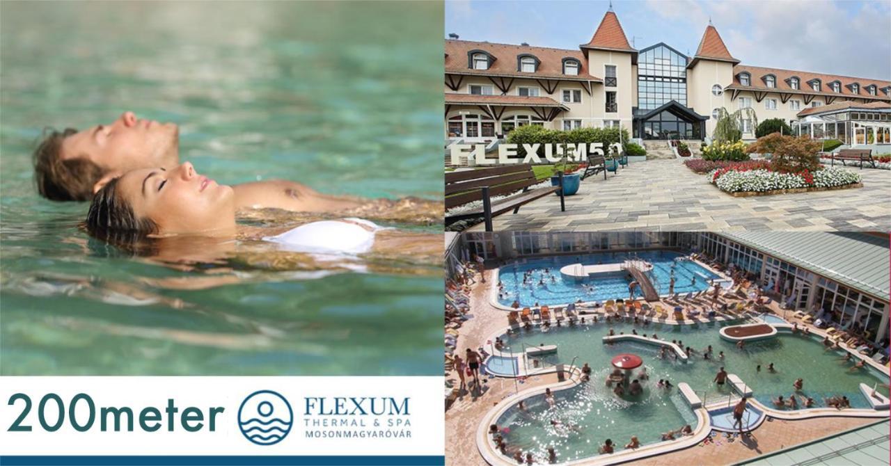 Feszek Fogado - Nest Bed & Breakfast Mosonmagyarovar